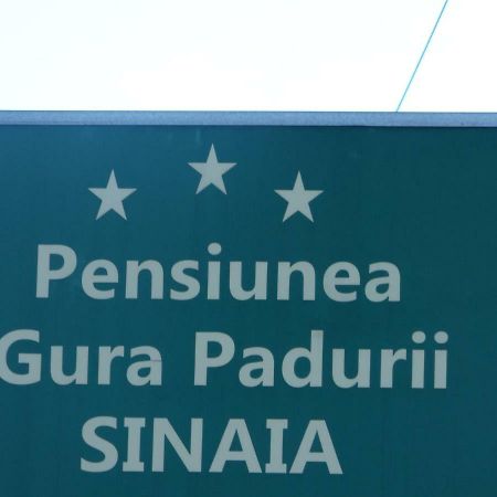 Gura Padurii Hotel Sinaia Ngoại thất bức ảnh