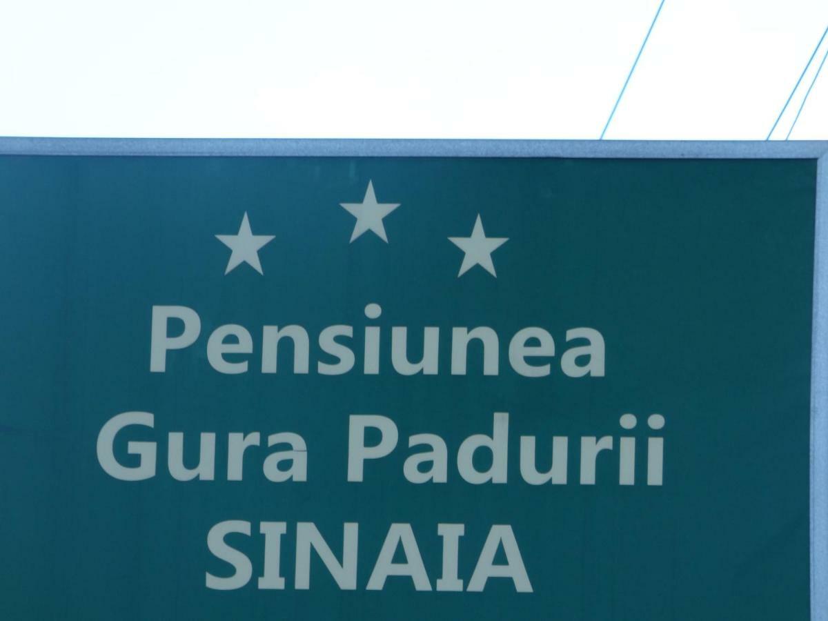 Gura Padurii Hotel Sinaia Ngoại thất bức ảnh