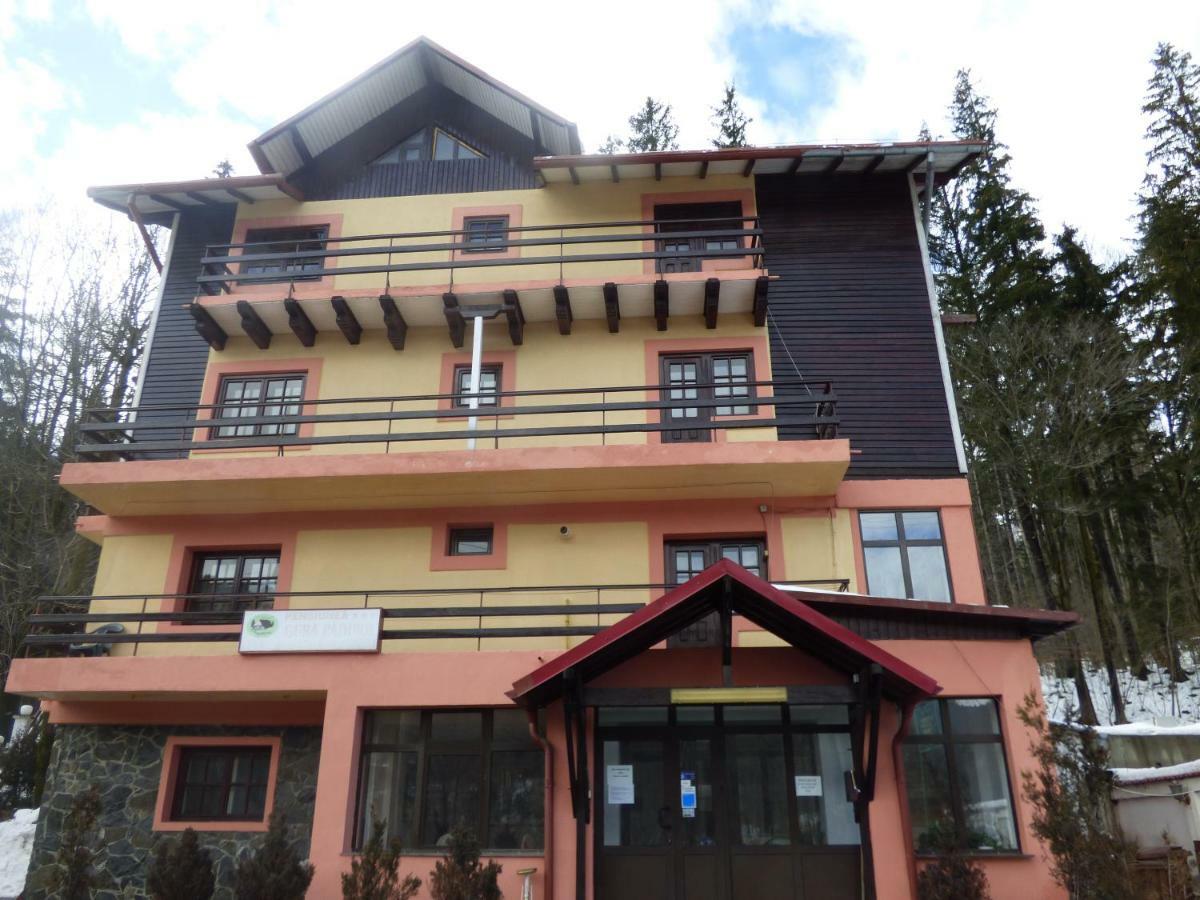Gura Padurii Hotel Sinaia Ngoại thất bức ảnh